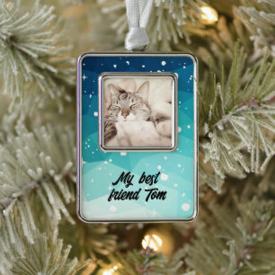 Adorno Sweet cat Christmas background