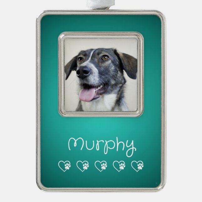Adorno Teal Pet Photo Ornament - Frame, Custom Keepsake (Anverso)