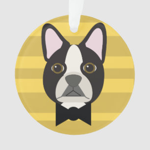 Adorno Terrier de Boston
