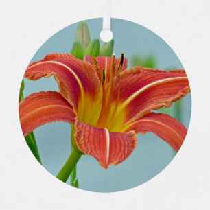 Adorno Tiger Daylily
