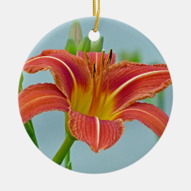 Adorno Tiger Daylily (Frente)