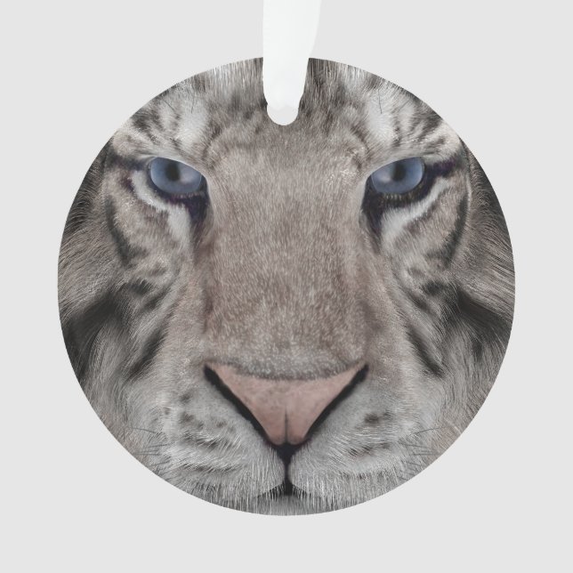 Adorno Tigre Blanco (Anverso)