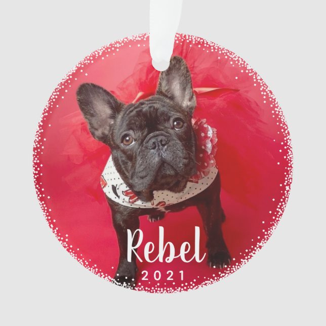 Adorno Tipografía fotográfica personalizada para perros M (Anverso)