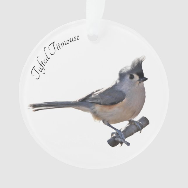 Adorno Titmouse copetudo (Anverso)