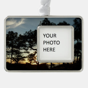 Adorno Torrey Pine Sunset II California