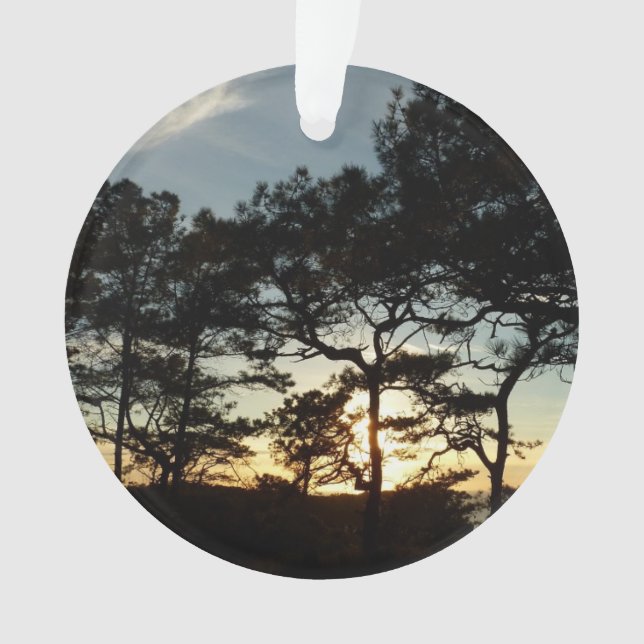 Adorno Torrey Pine Sunset II California (Anverso)
