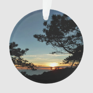 Adorno Torrey Pine Sunset III California