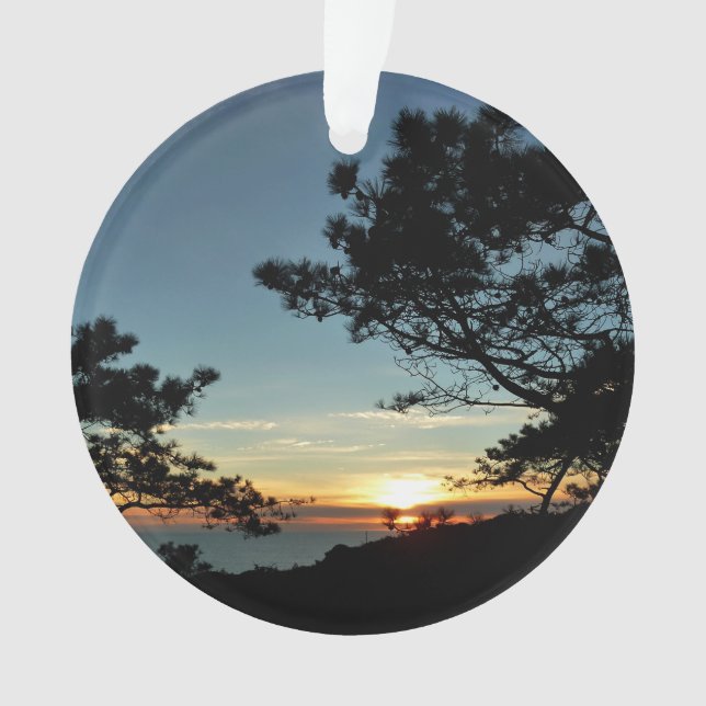 Adorno Torrey Pine Sunset III California (Anverso)