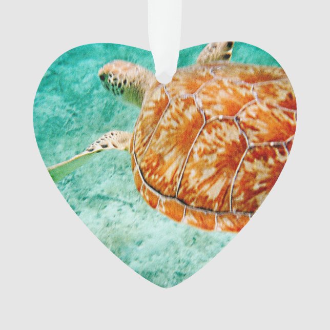 Adorno Tortuga marina (Anverso)