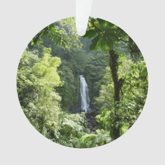 Adorno Trafalgar cae fotografía tropical de selva tropica