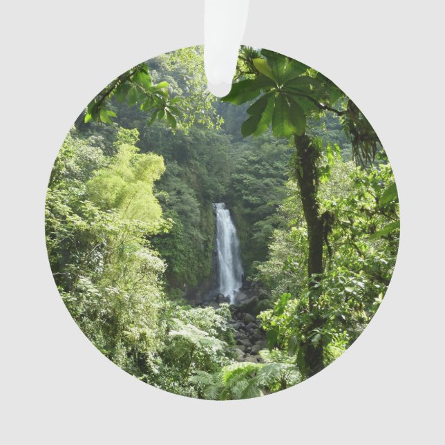 Adorno Trafalgar cae fotografía tropical de selva tropica (Anverso)