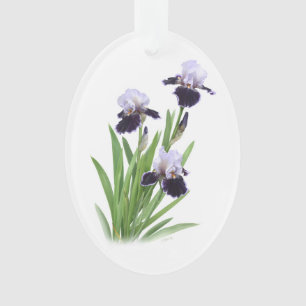 Adorno Trío del iris