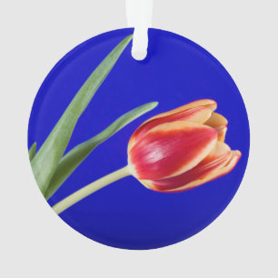 Adorno Tulipán sobre fondo azul