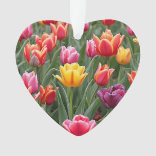 Adorno Tulipanes holandeses