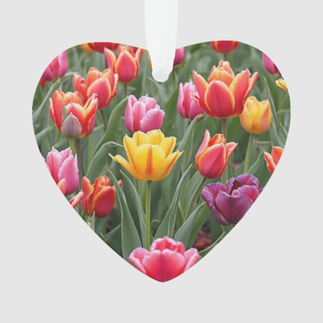 Adorno Tulipanes holandeses (Anverso)
