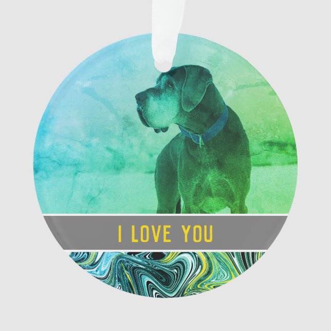 Adorno un amor de perros (Anverso)
