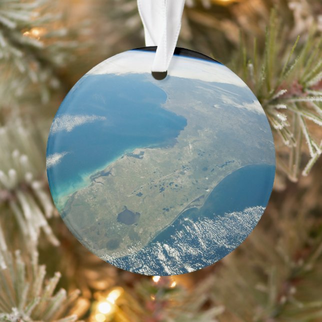 Adorno Una Florida Oblíque, En La Costa Sureste (Árbol)