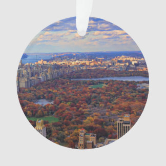 Adorno Una vista desde arriba: Otoño en Central Park 01