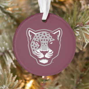 Adorno Universidad A&M de Texas-San Antonio   Jaguares