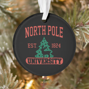Adorno Universidad del Polo Norte Navidad Xmas Vacaciones