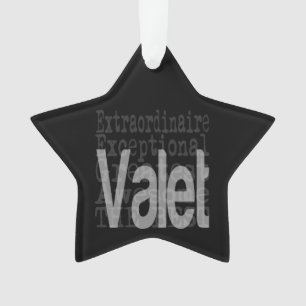 Adorno Valet Extraordinaire