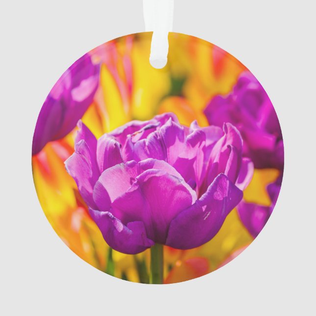 Adorno Violeta encantadora de tulipanes (Reverso)