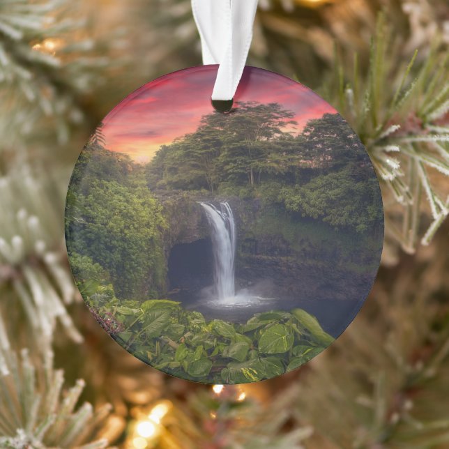 Adorno Waterfalls | Rainbow Falls, Hilo, Hawaii (Árbol)