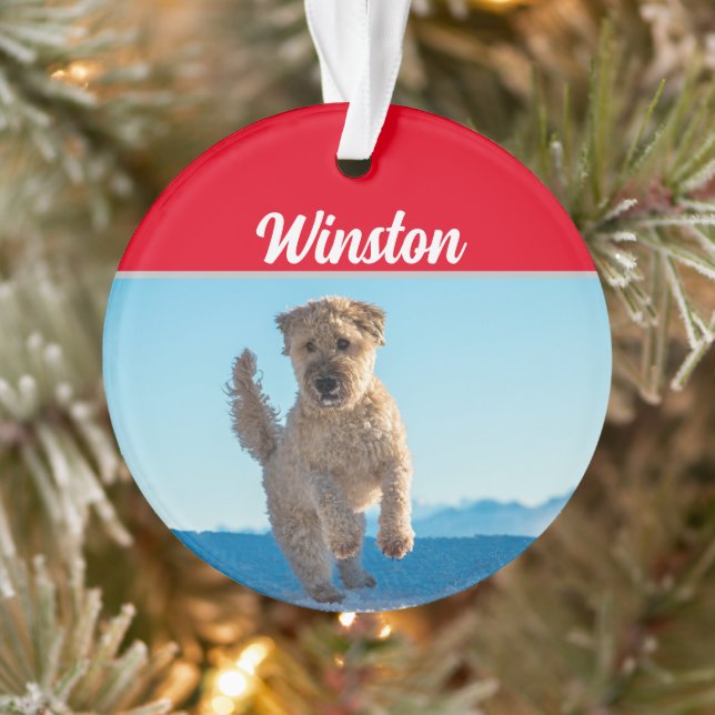 Adorno Wheaten Terrier with Name and Photo Christmas (Árbol)
