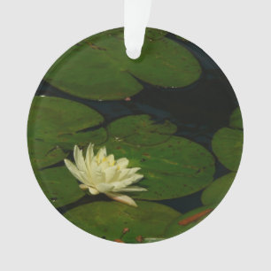 Adorno White Waterlily I Fotografía Floral Pacífica