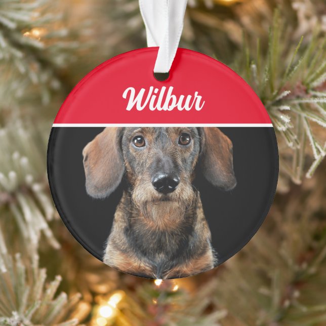 Adorno Wirehaired Dachshund with Name and Photo Christmas (Árbol)