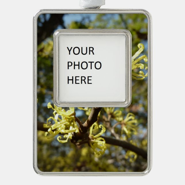 Adorno Witch Hazel Flowers (Anverso)