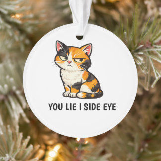 Adorno You Lie I Side Eye Funny Grumpy Calico Cat quote