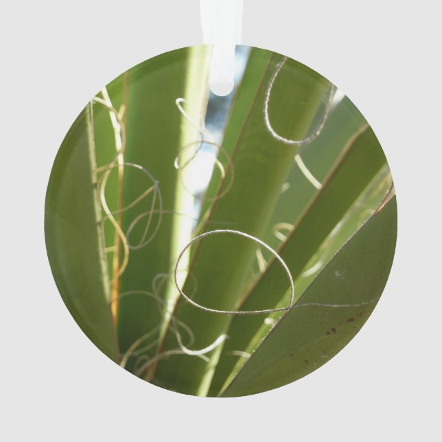 Adorno Yucca deja fotografía verde de la naturaleza (Reverso)