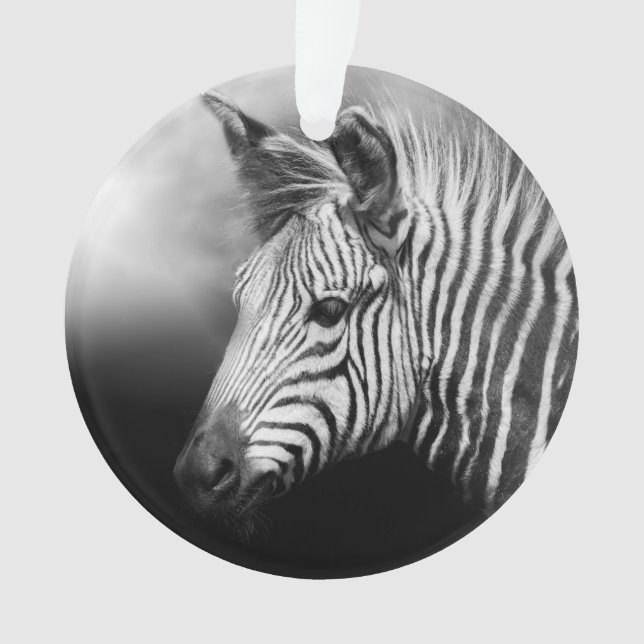 Adorno Zebra Foal (Anverso)