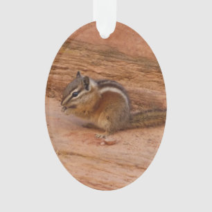 Adorno Zion Chipmunk sobre las rocas rojas