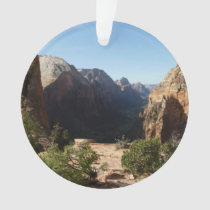 Adorno Zion desde el sendero Angels Landing Zion National