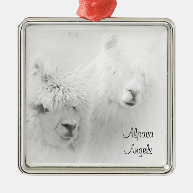 Adornos de Alpacas Blancas Ángeles de Alpaca (Frente)