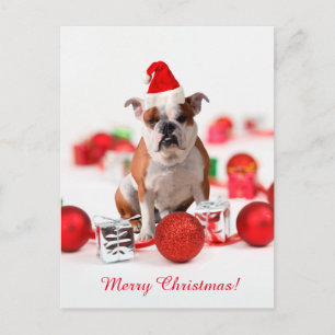 Adornos de caja de regalo de Navidad de Bulldog co