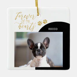 Adornos Fotográficos de Memorial de Mascotas Negro