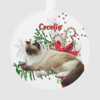 Adornos Navidad Personalizado Mascota Acrílico Red