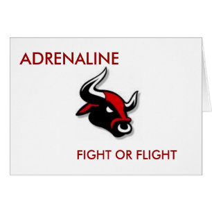 ADRENALINA, LUCHA O HUIDA