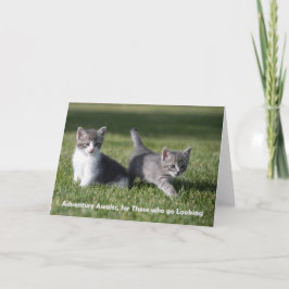 Adventure espera la tarjeta de notas de gatito
