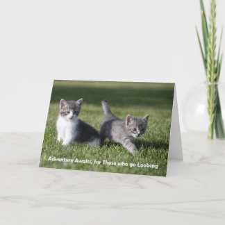 Adventure espera la tarjeta de notas de gatito