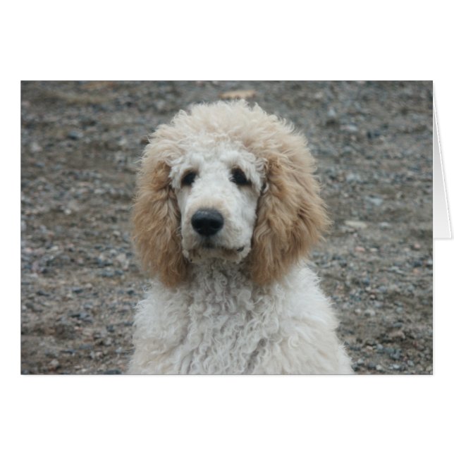 Aero-4 (Anverso (Horizontal))