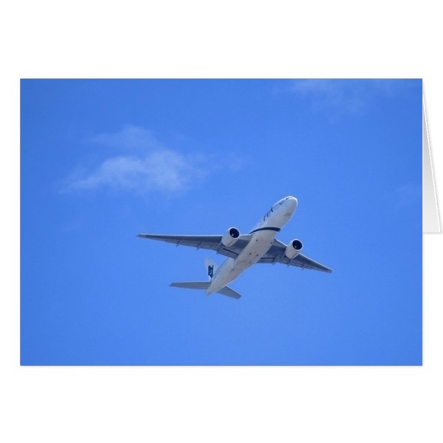 Aerolínea comercial (Anverso (Horizontal))