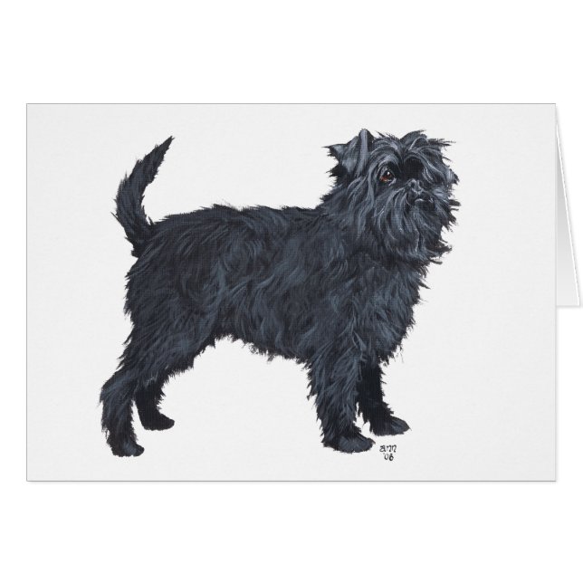 Affenpinscher (Anverso (Horizontal))