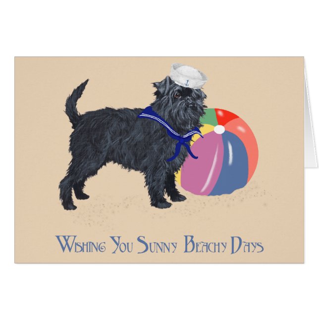 Affenpinscher en la playa (Anverso (Horizontal))