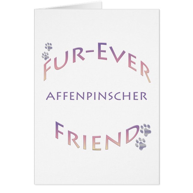 Affenpinscher Furever (Frente)