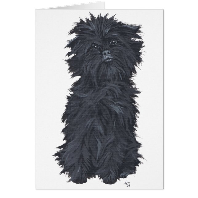 Affenpinscher sentado (Frente)