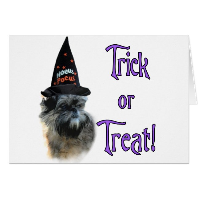 Affenpinscher Trick (Anverso (Horizontal))